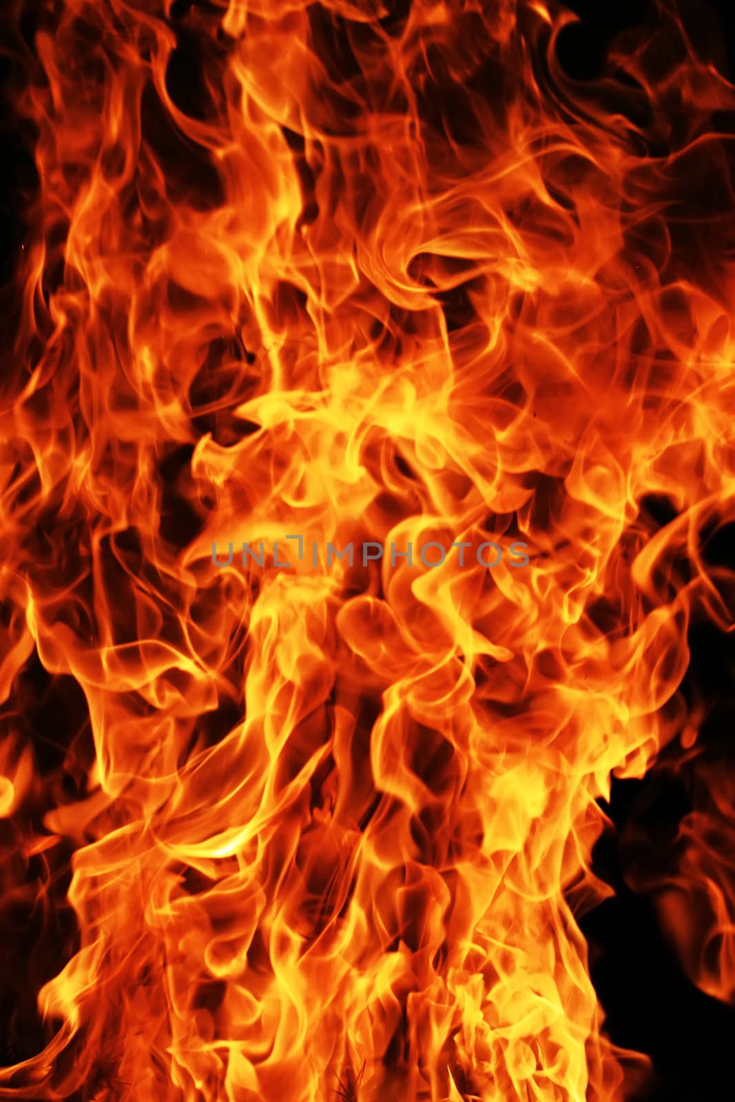 Flame burning on black background