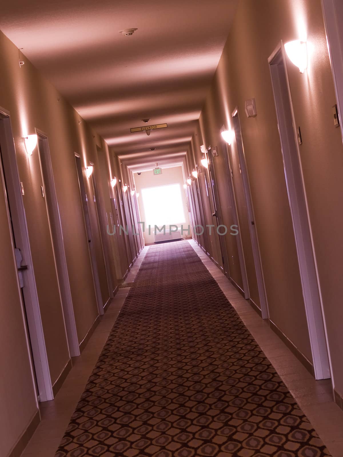 Empty, crooked hotel corridor in monochrome pink color tone by Frankljunior