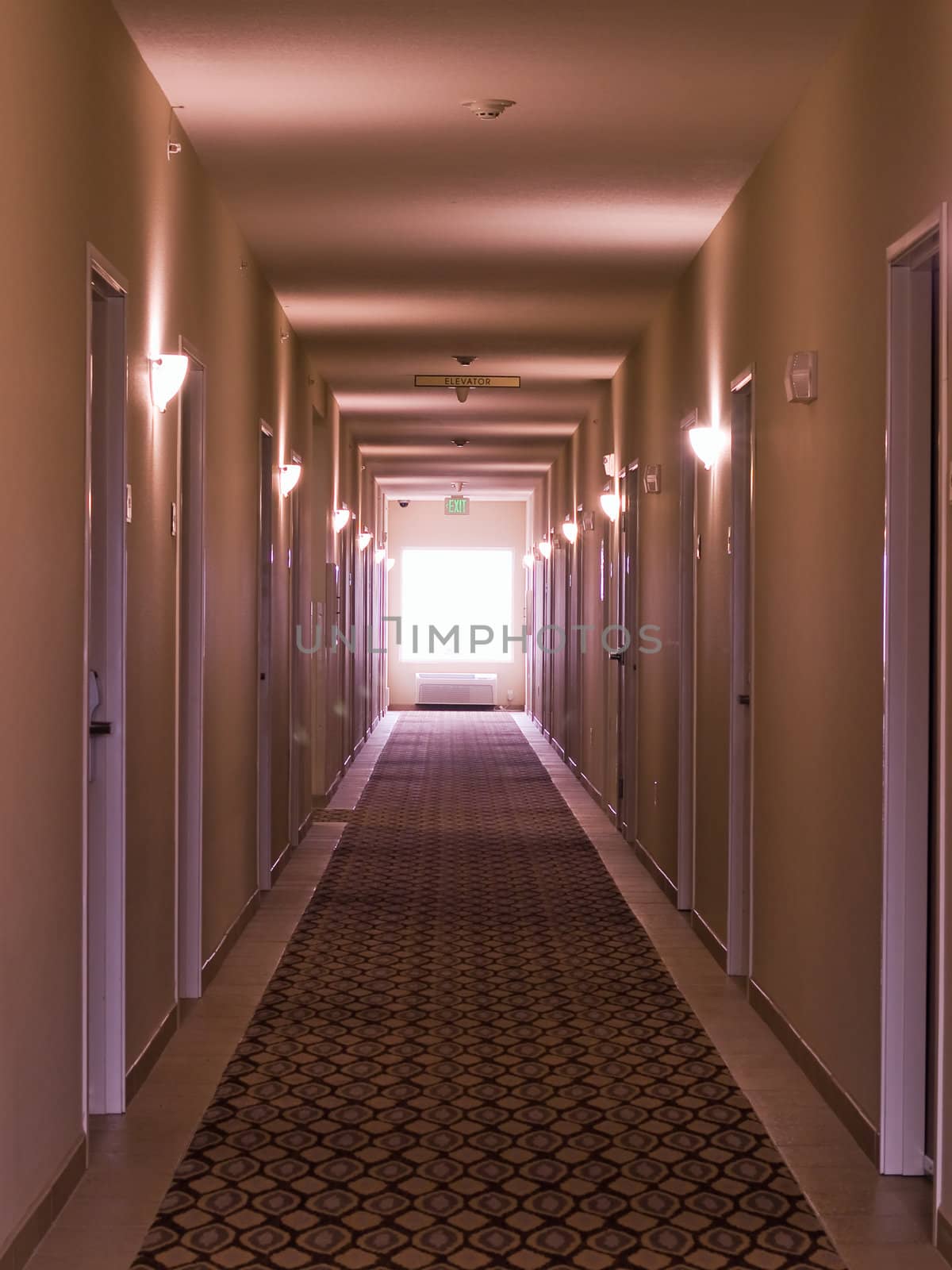 Empty hotel corridor in monochrome pink color tone