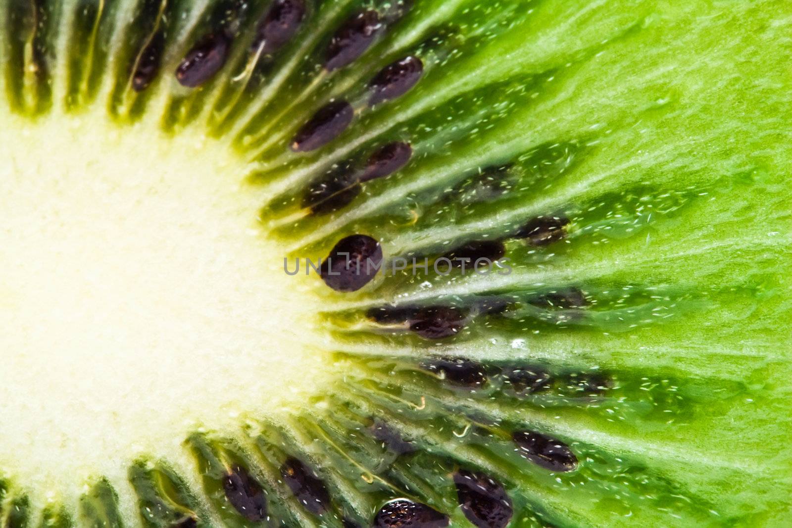 Macro photo of a fresh kiwi
