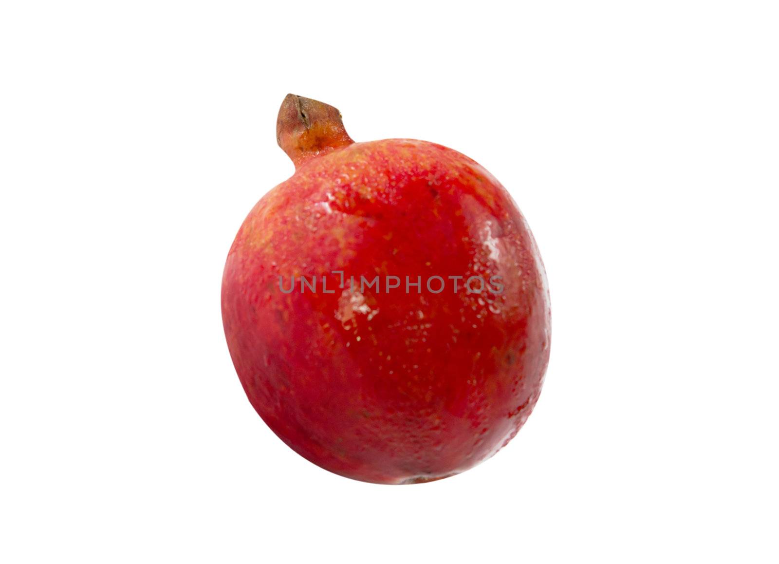Pomegranate on white background