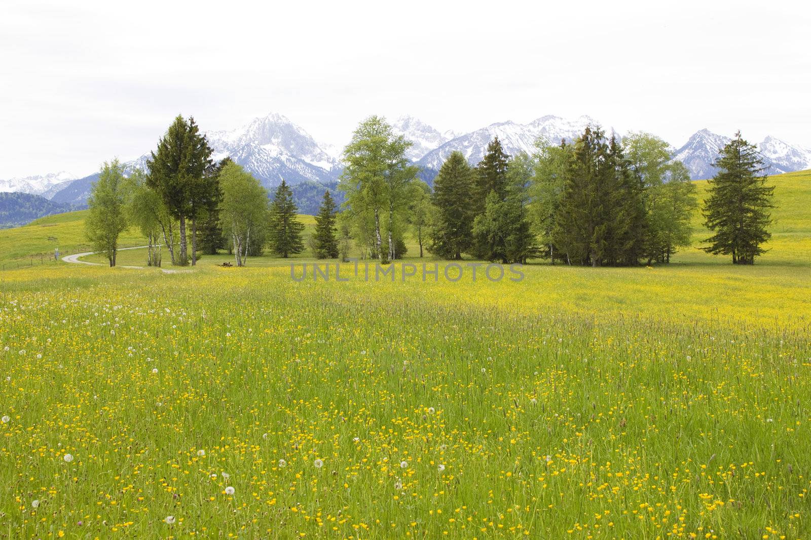 lovely panorama in the alps in Germany