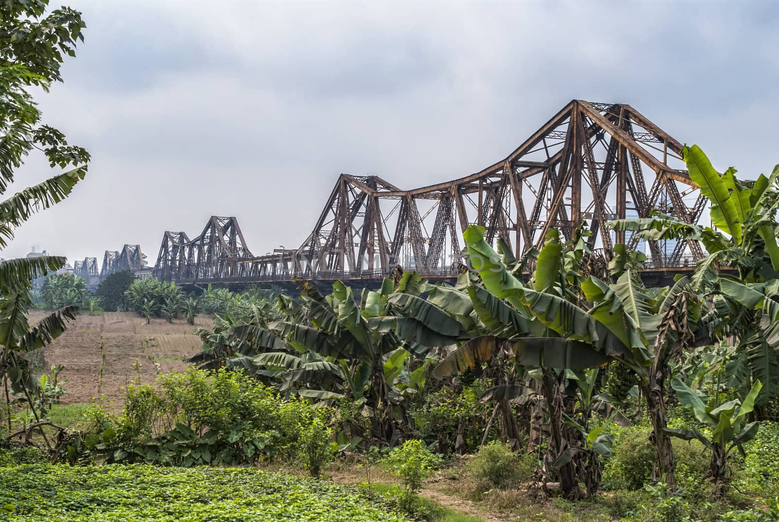 Vietnam Hanoi. Long historic metal bridge over banana plantation under light blue skies.