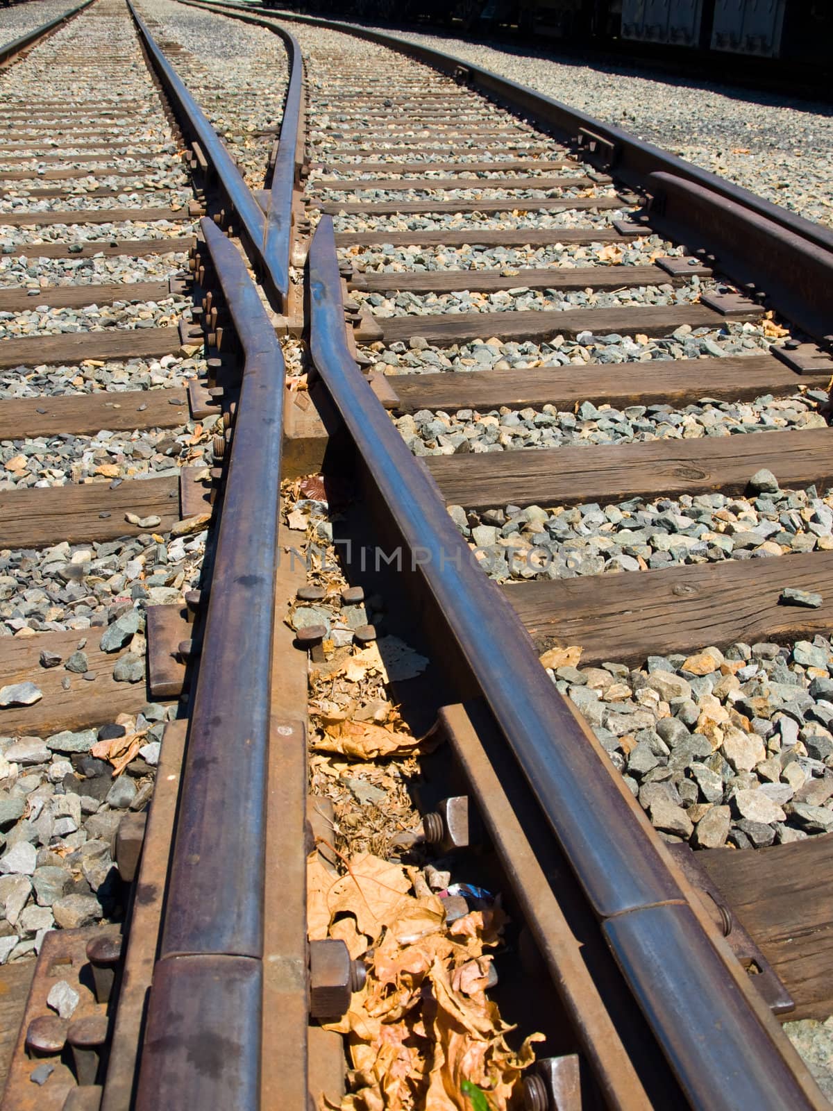 Old Railroad Tracks at a Junction on a Sunny Day