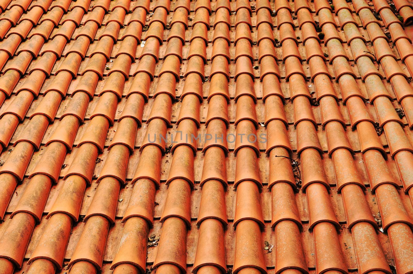 Background of clay round tiles covered roof.