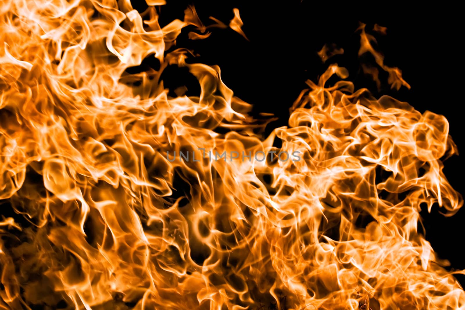 Orange flame burning on black background