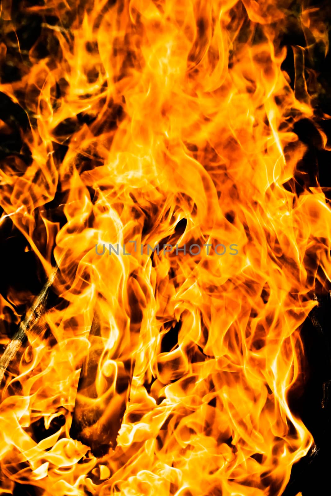Flame burning on black background