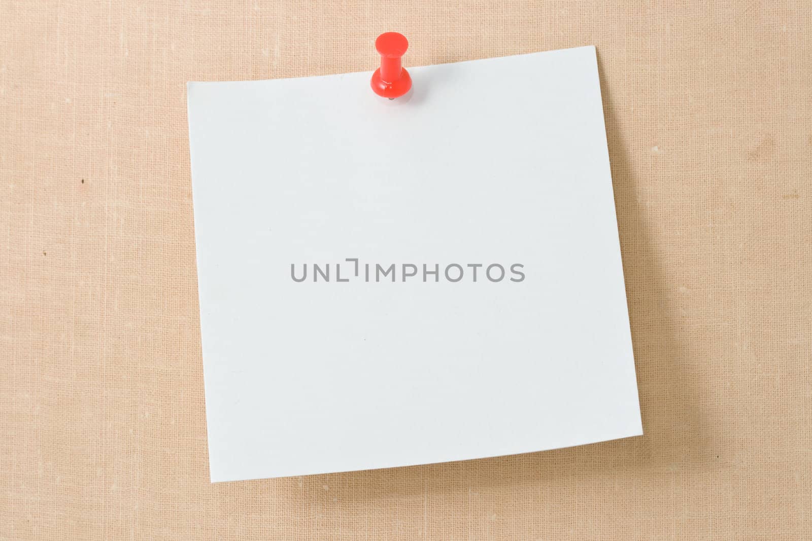 Note white paper tacked on a wall