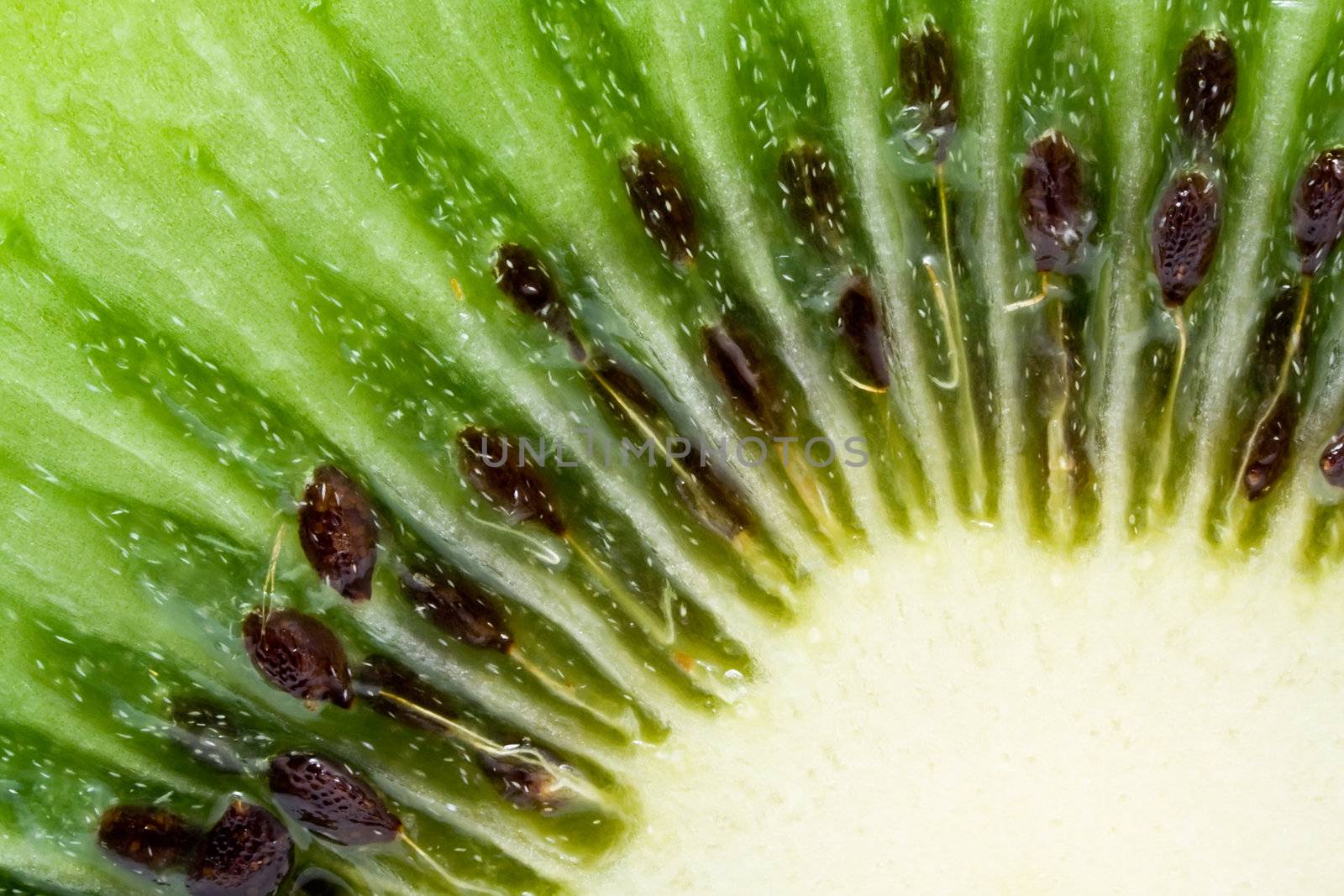 Macro photo of a fresh kiwi