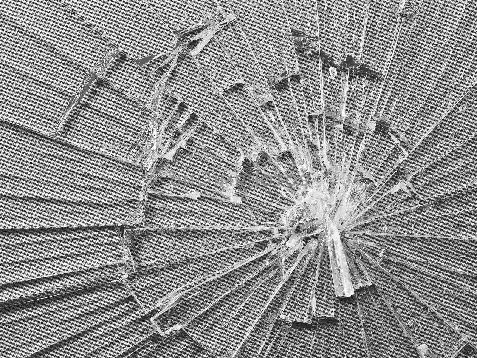 Cracked Glass Macro in Black and White