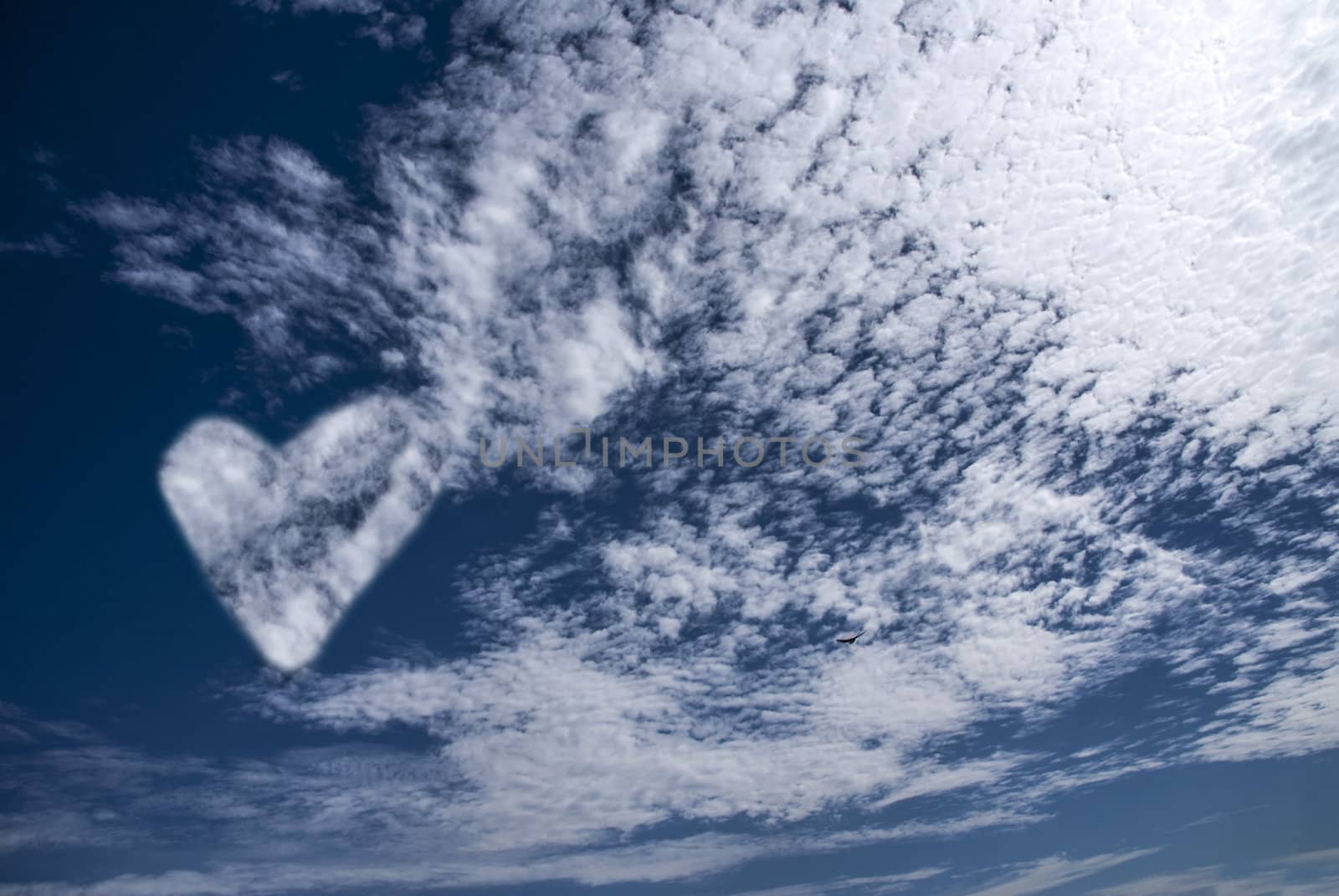 Heart in the Clouds