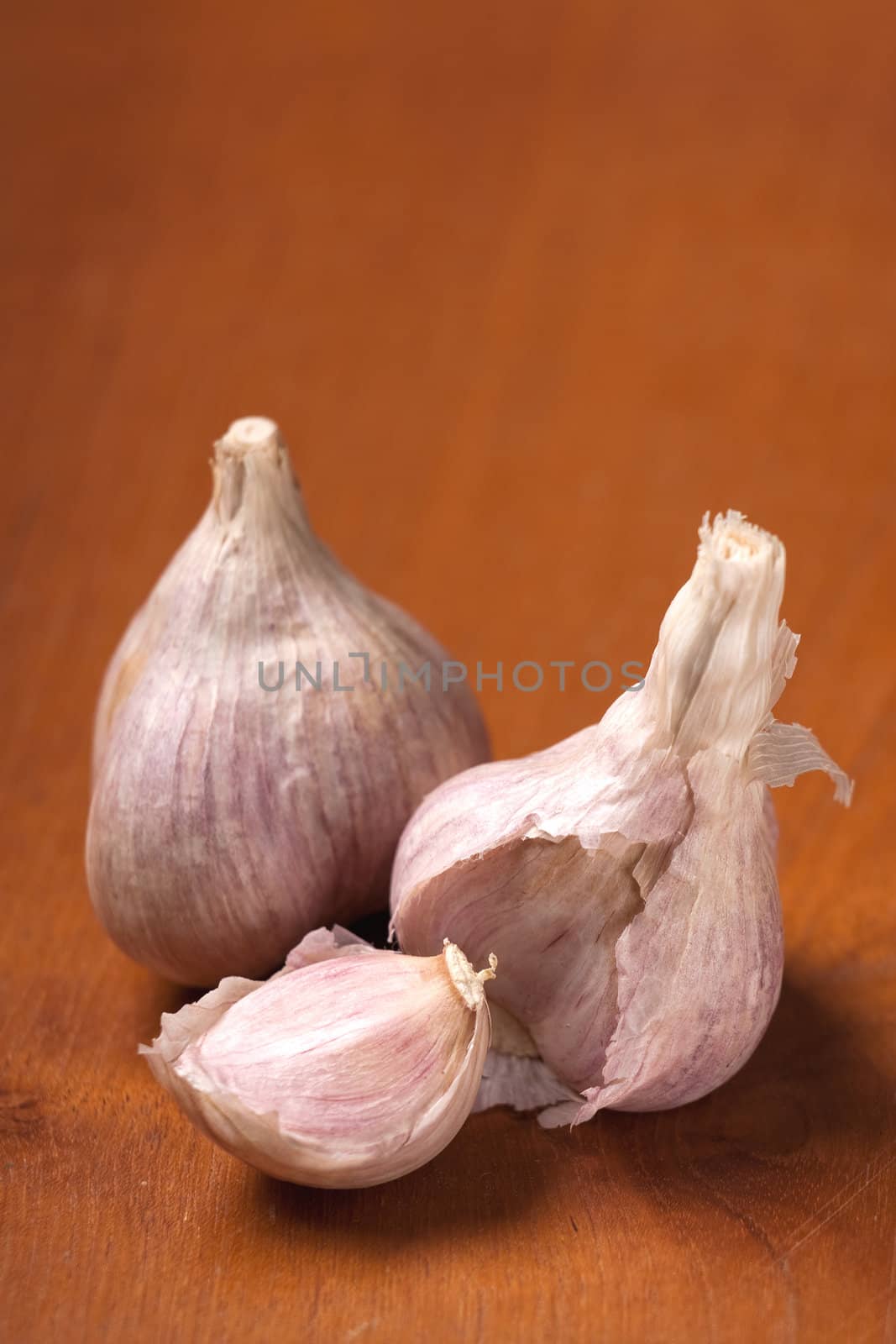 Garlic on brown table by Verdateo