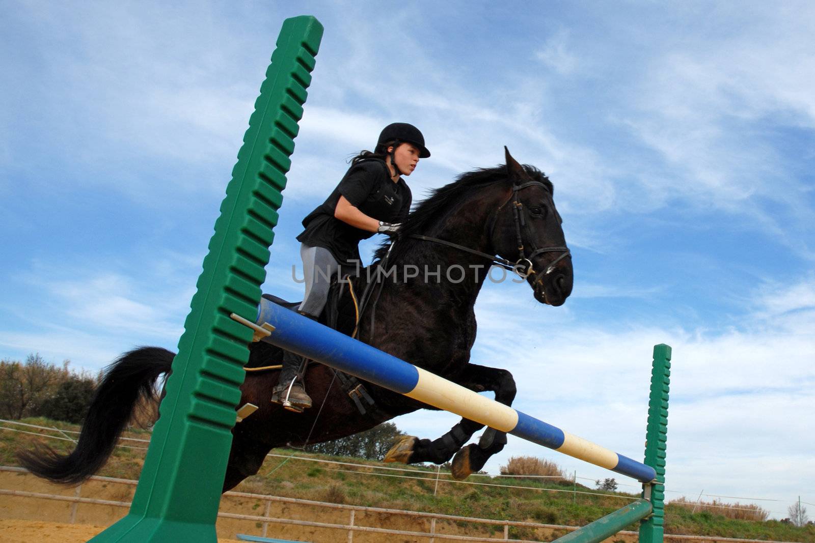 training for competition of jumping for an horse and her riding girl