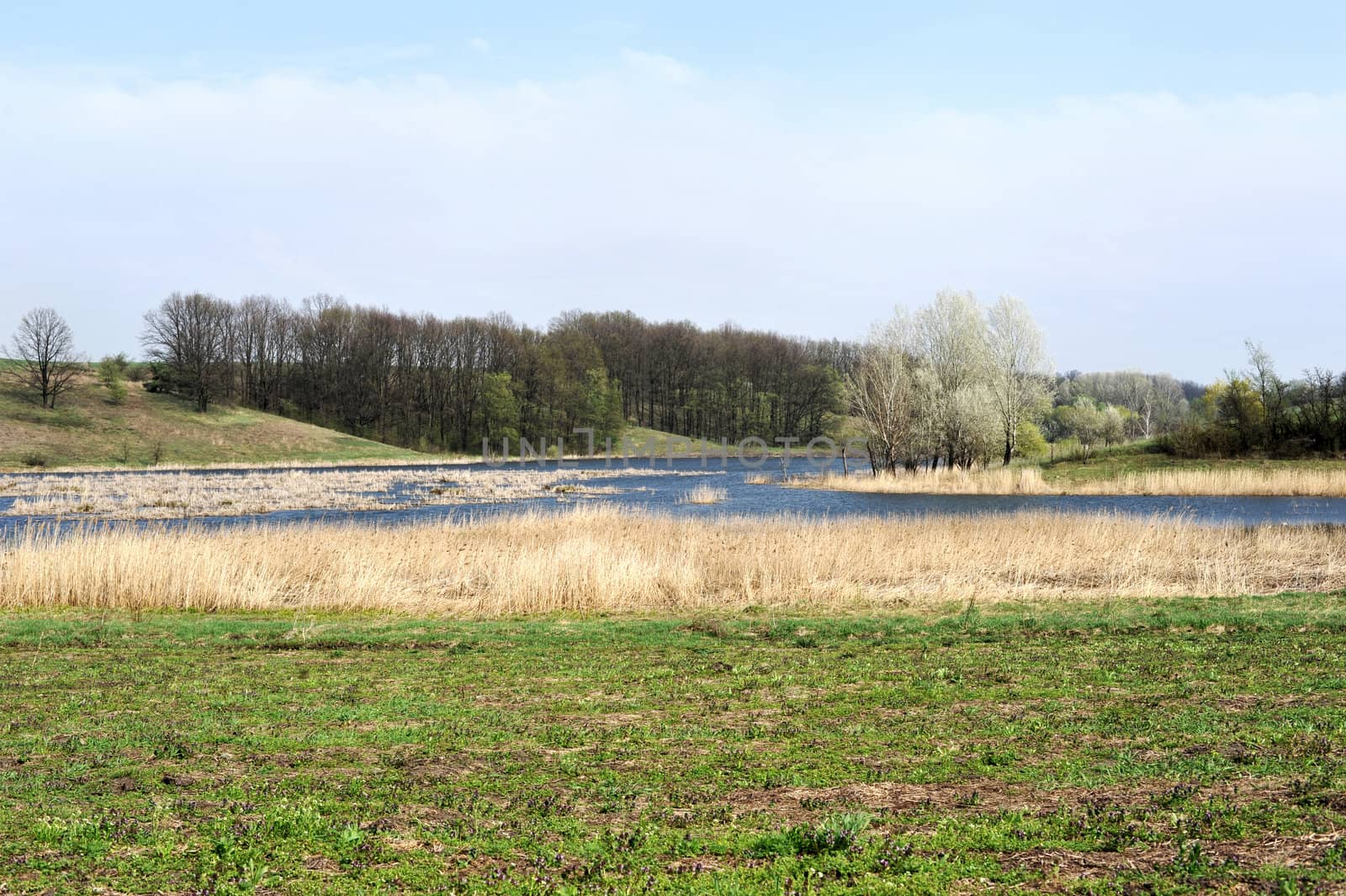 landscape with trees and lake or rural scenery by DNKSTUDIO