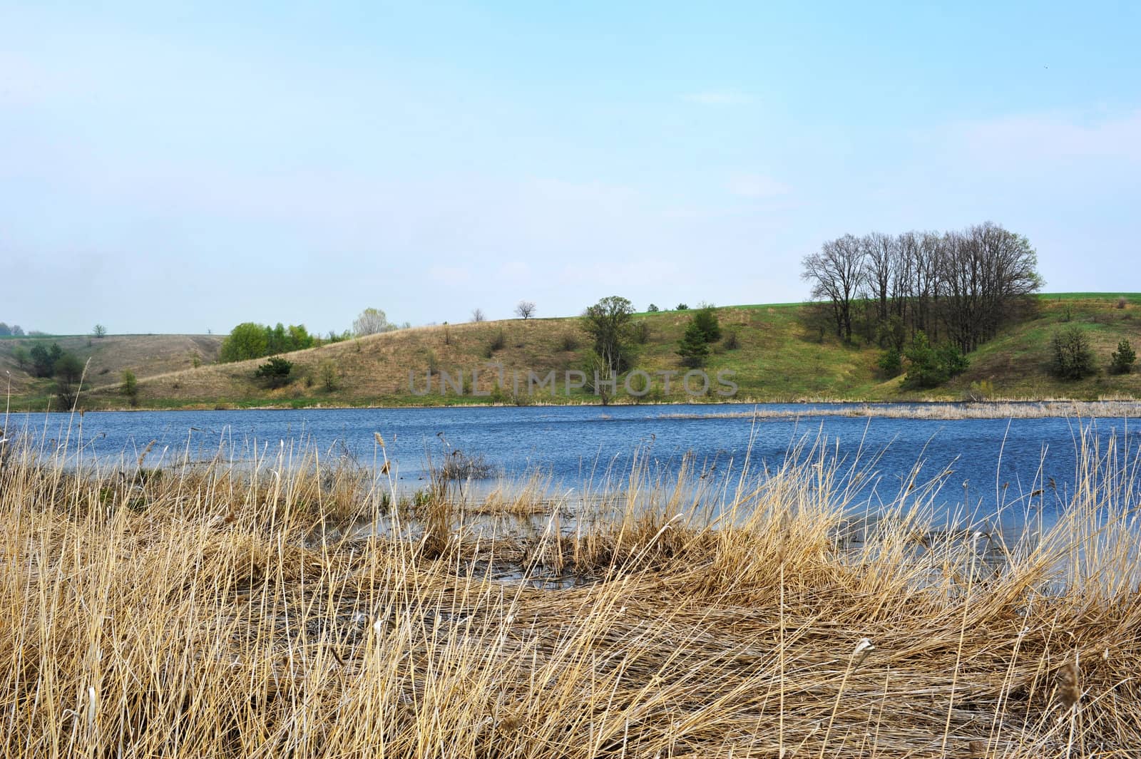 landscape with trees and lake or rural scenery by DNKSTUDIO