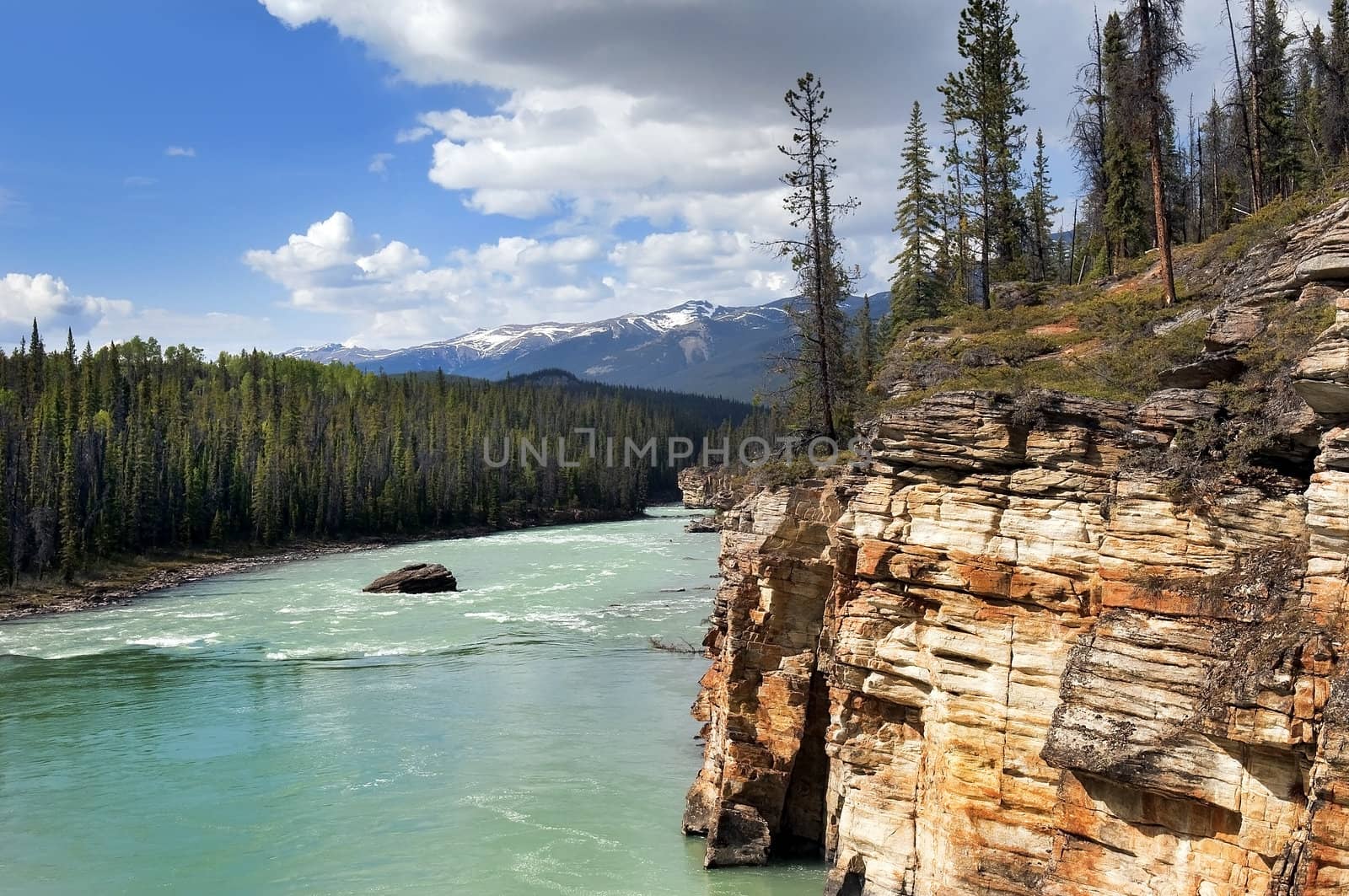 river in the valley Canadian Rocky Mountains