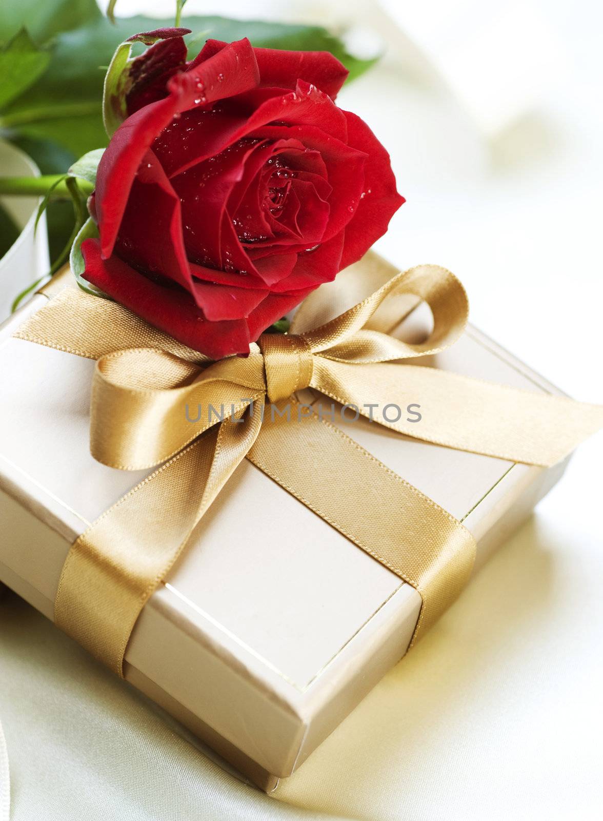 Romantic Gift by SubbotinaA