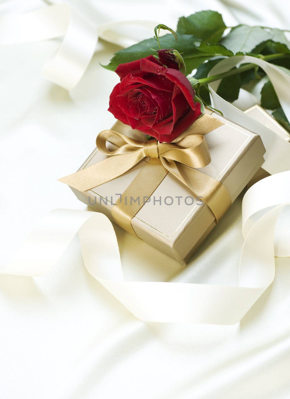 Wedding or Valentine gift over white silk by SubbotinaA