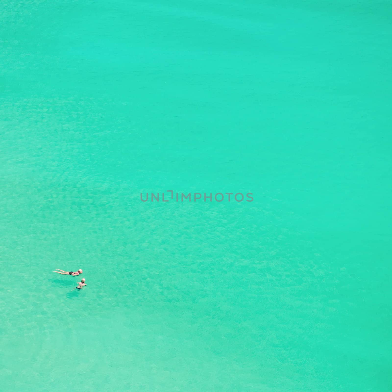 Two persons are swimming in the clear sea