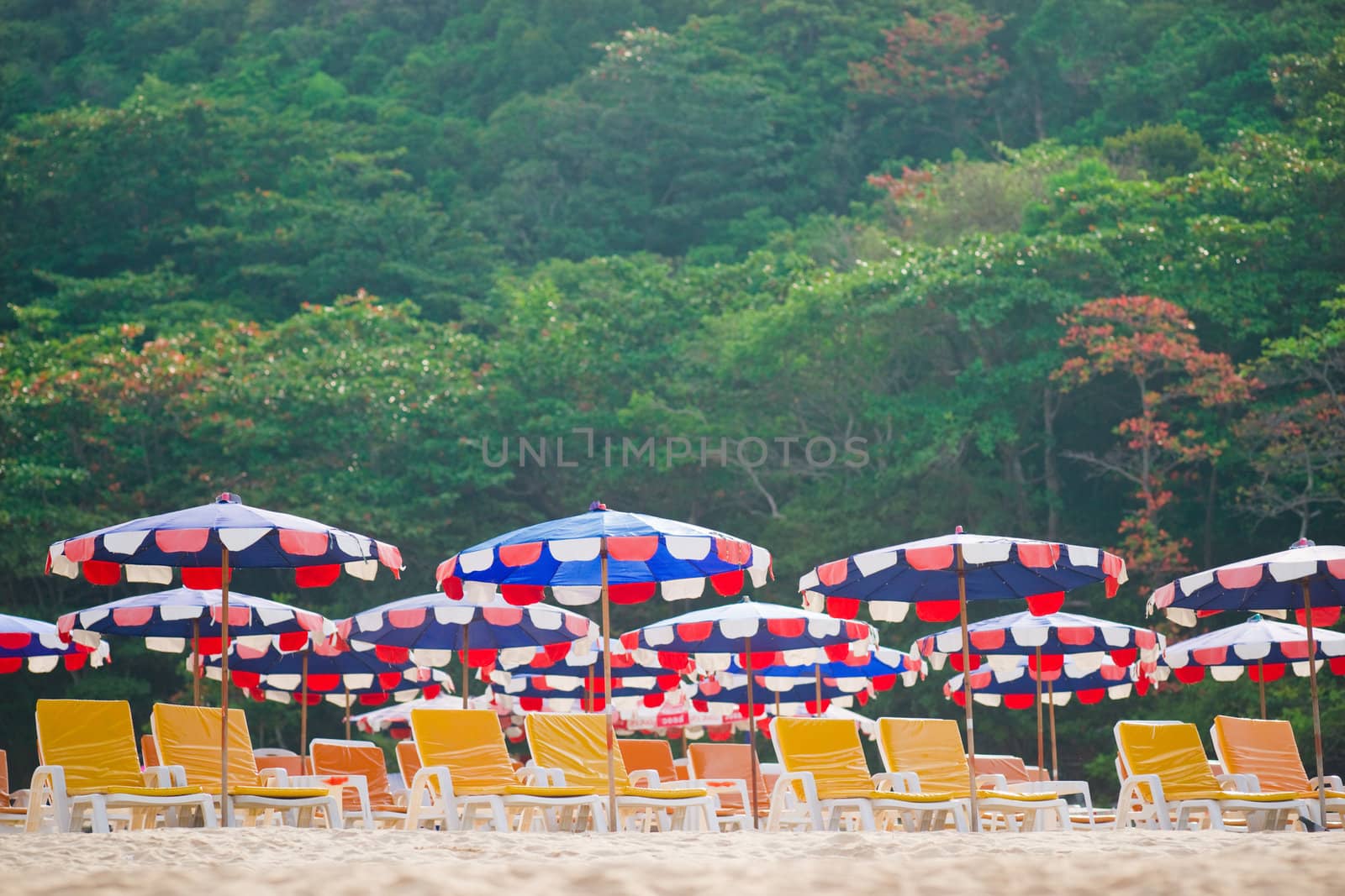 Sun loungers and umbrellas on the sand beach