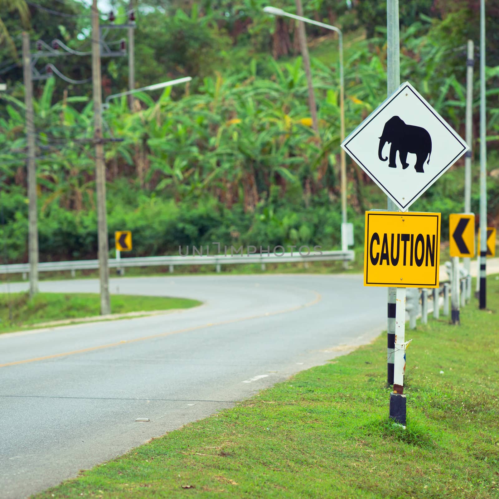Elephant road sign in Thailand