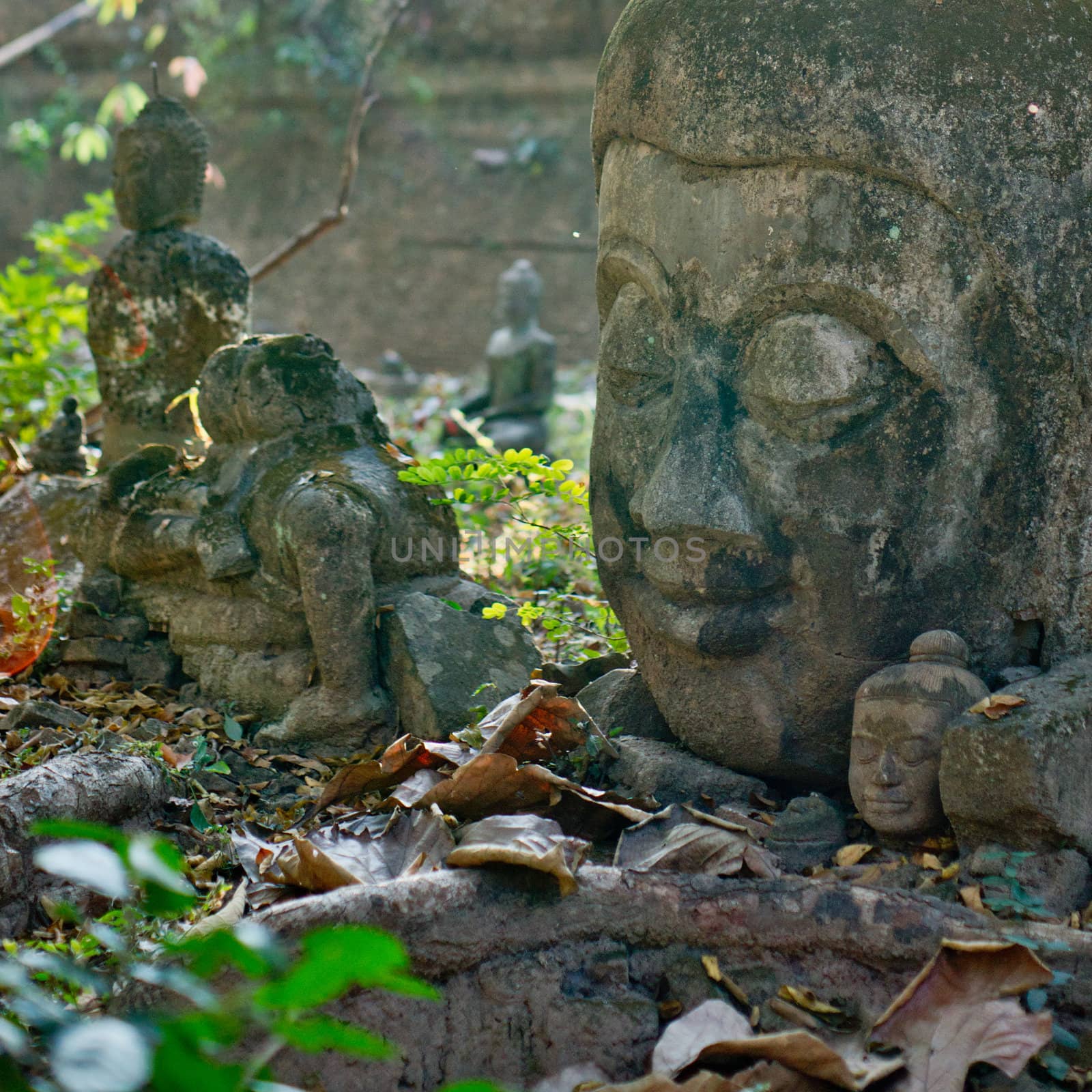 Stone head of Buddha in the ancient temple in Chiangmai, Thailand