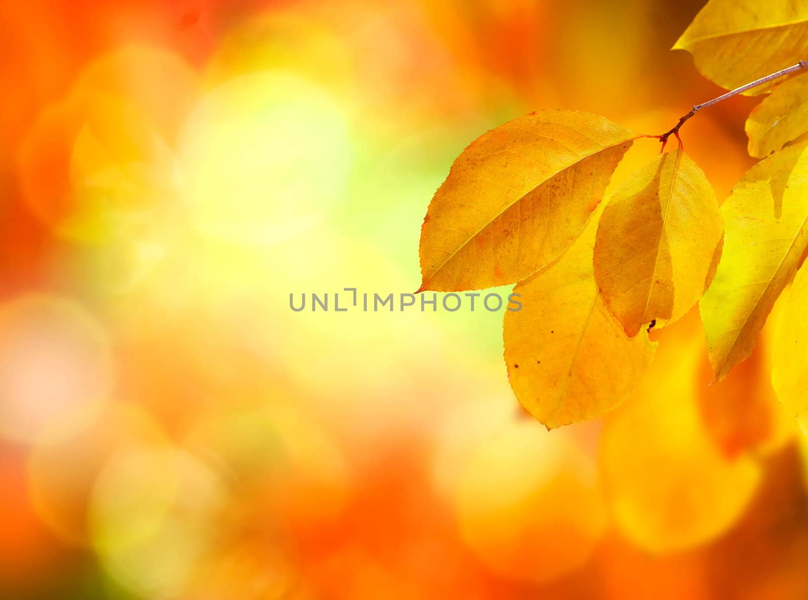 Autumn Abstract Background by SubbotinaA