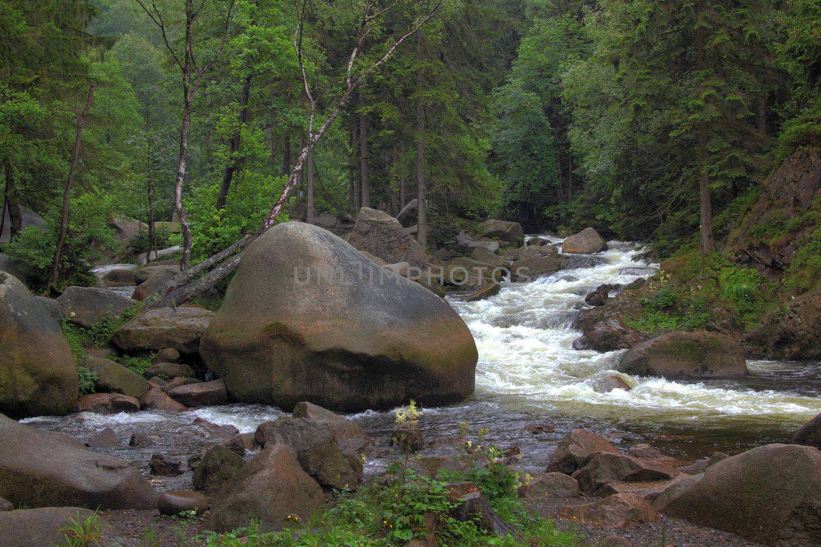 streambed of river oker
