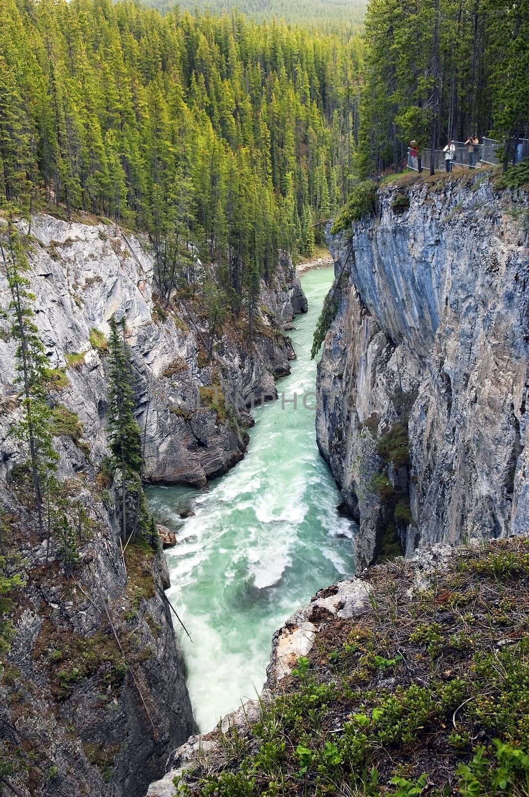 rapid mountain river by irisphoto4