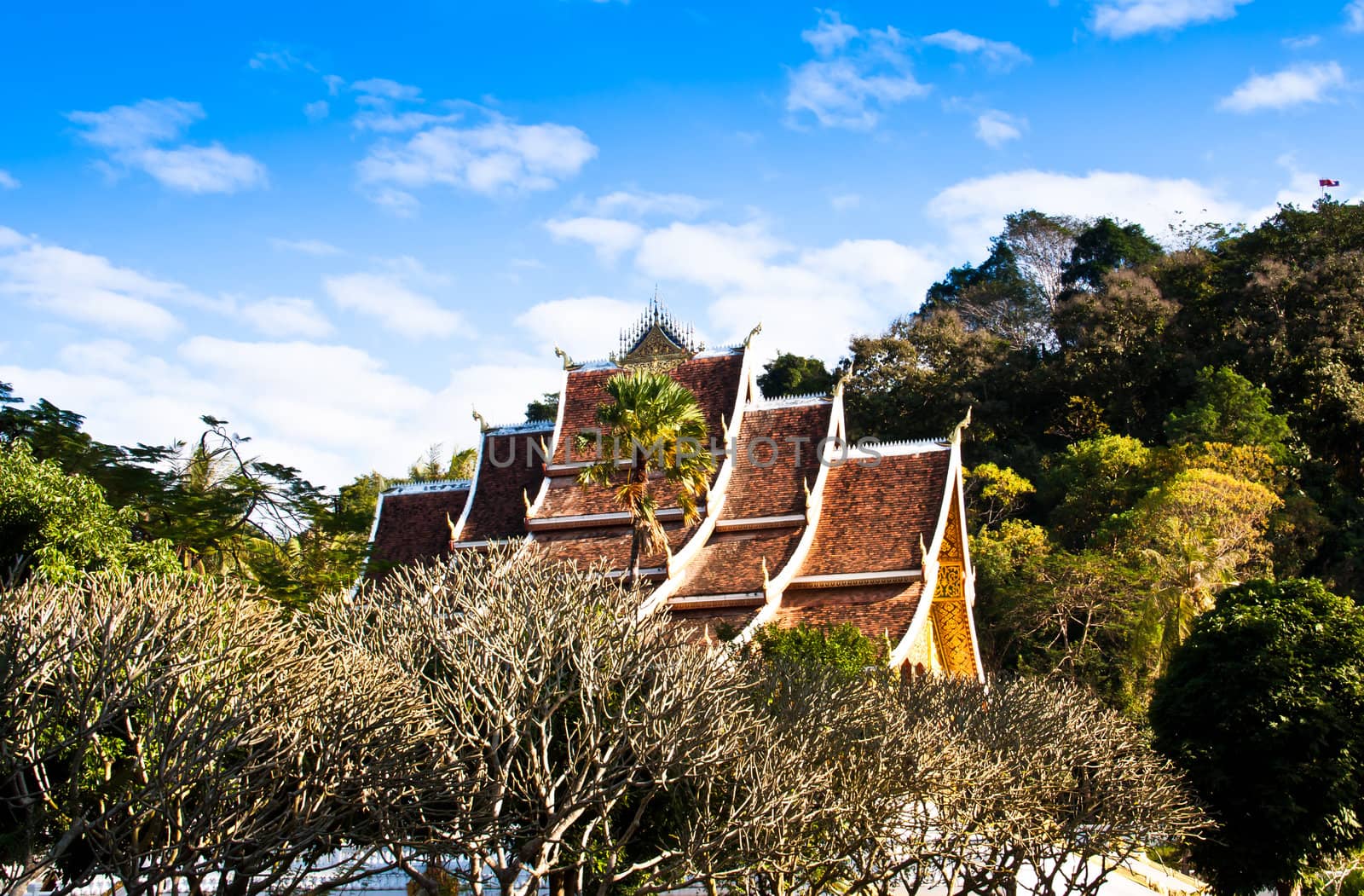 The roof of the temple. from a high angle.
