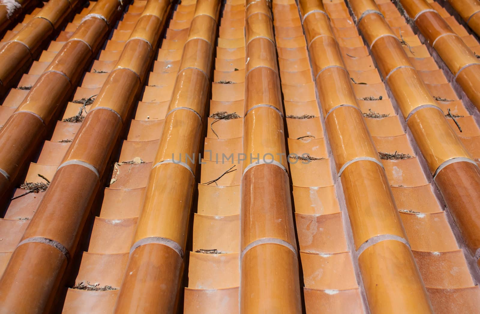 Closeup photo of traditional Chinese style eaves in a temple