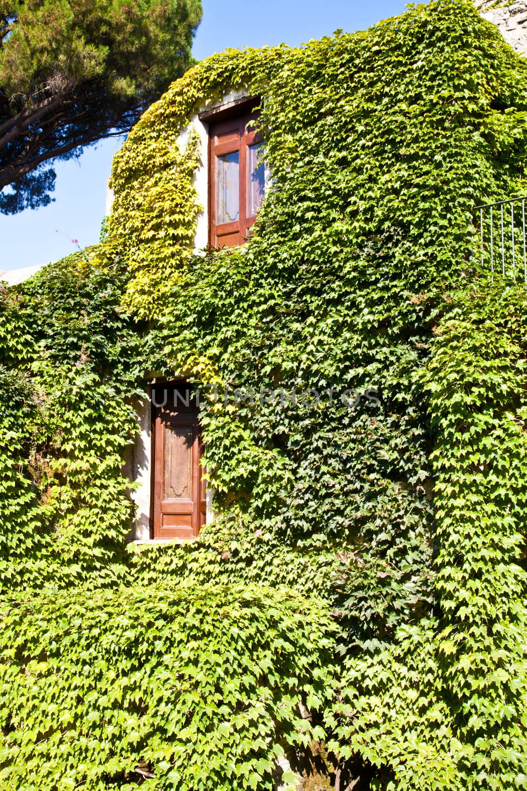 Italy - a Middle Age castle covered by ivy