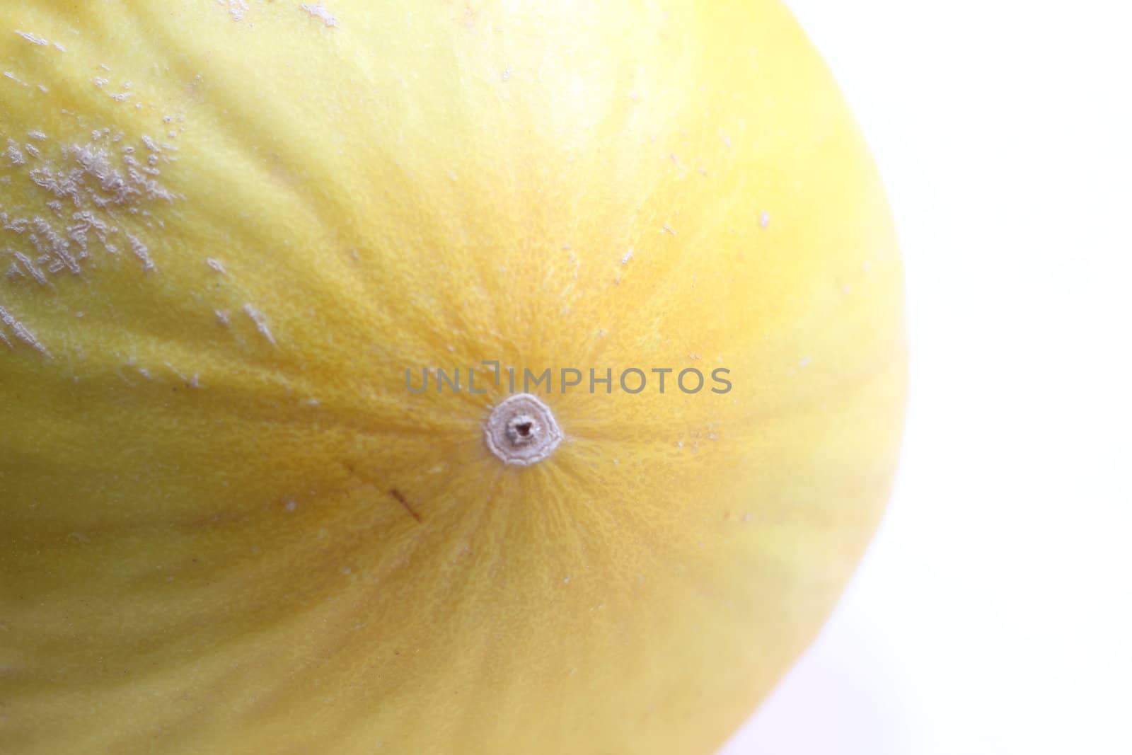 Galia melon