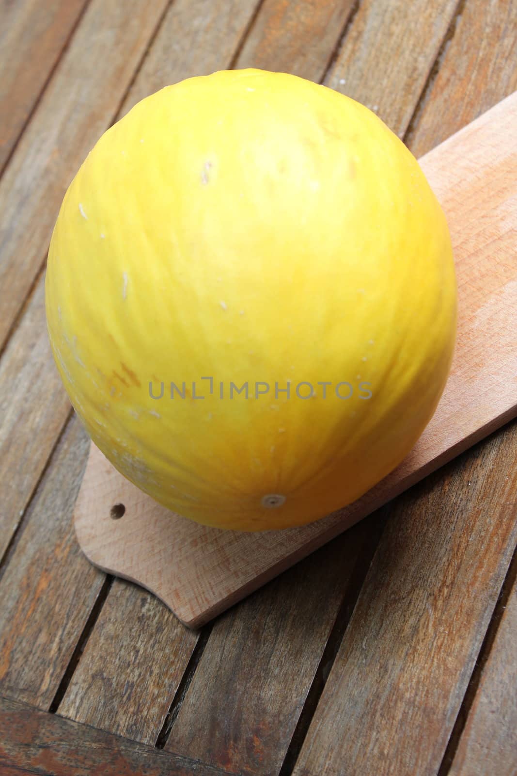 Galia melon