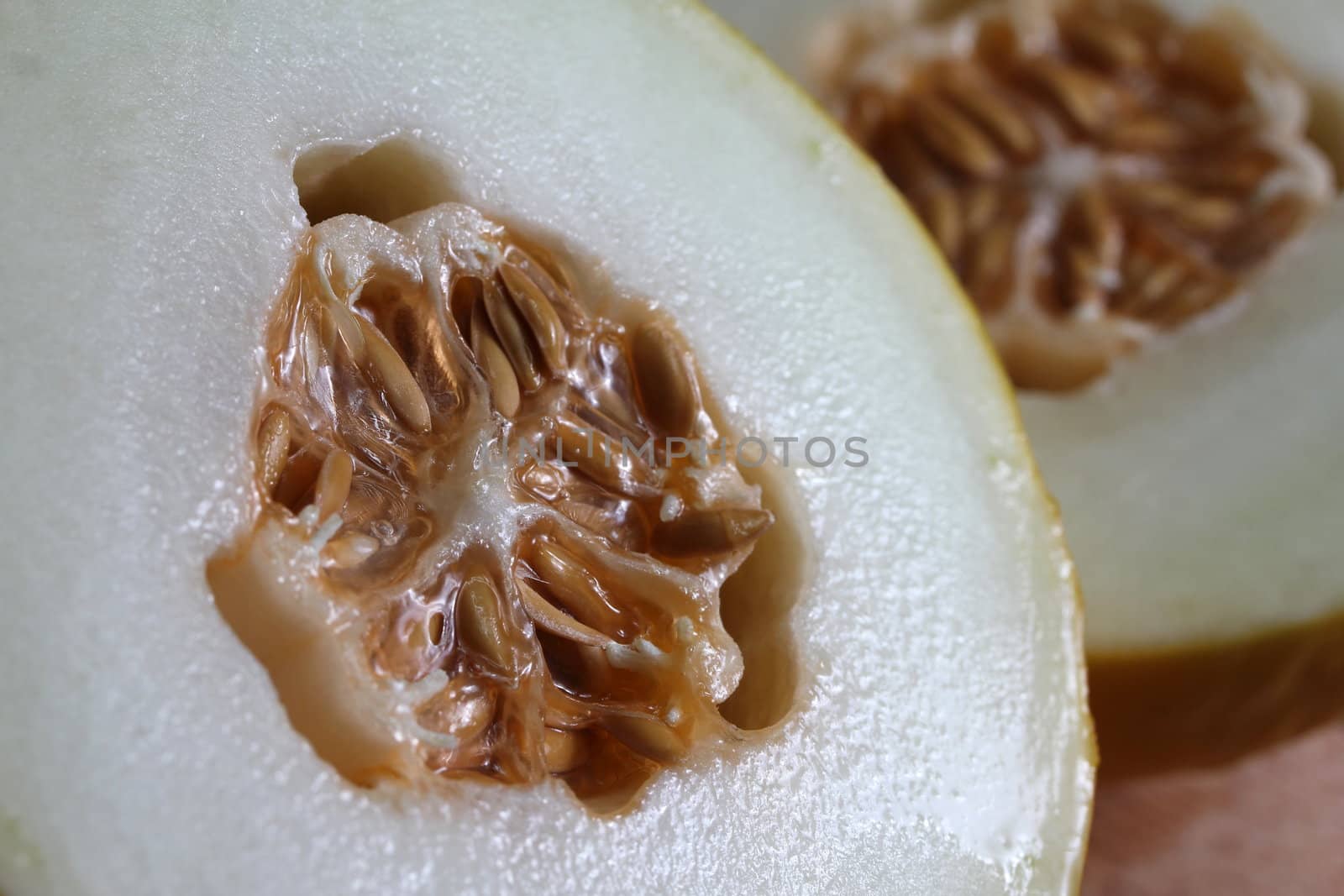 Galia melon