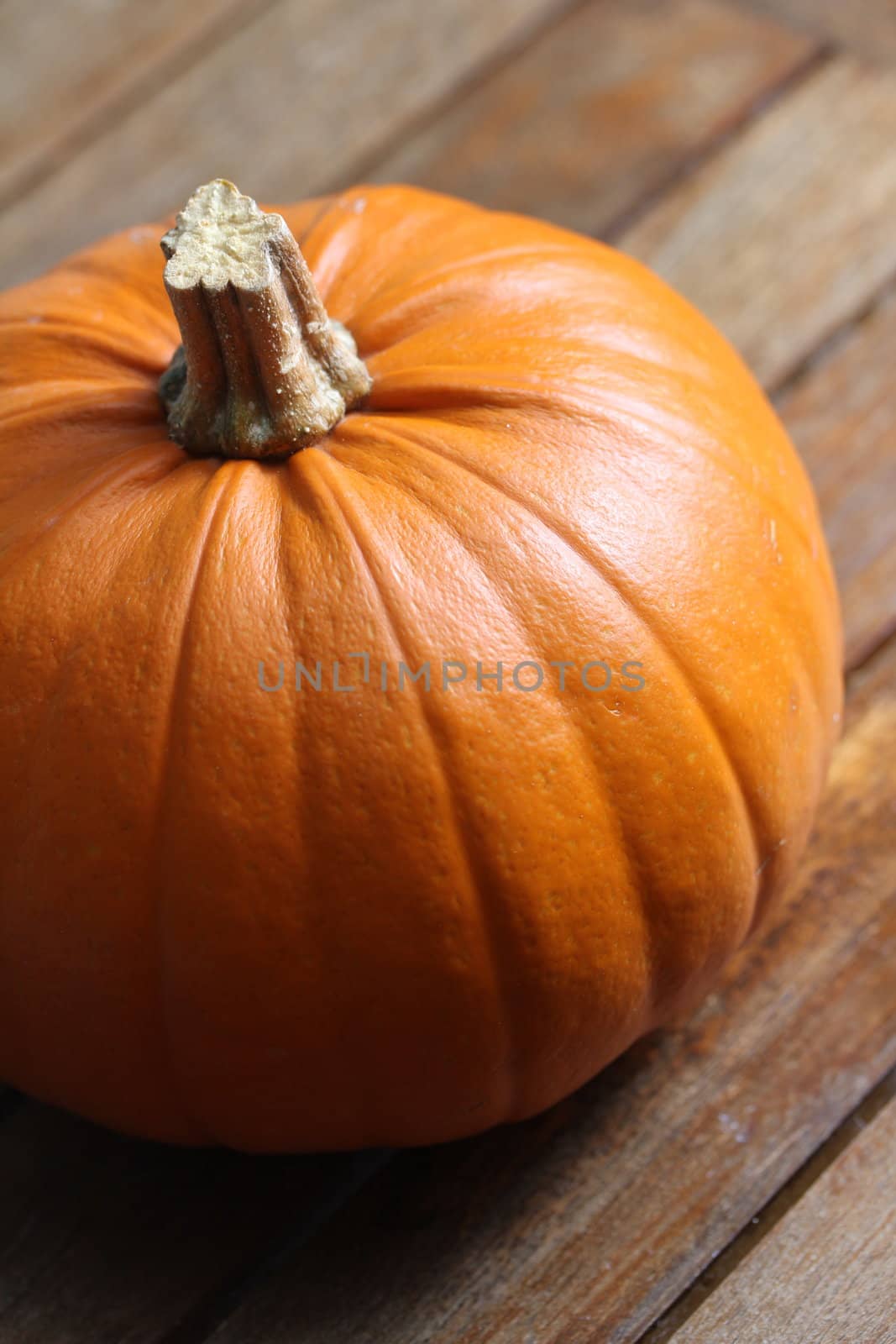 plain pumpkin