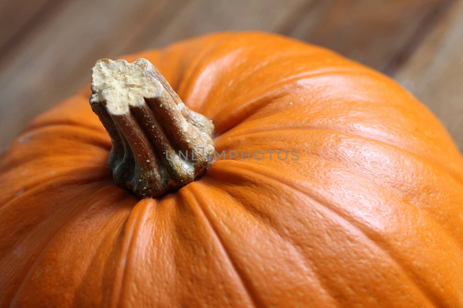 plain pumpkin by Teka77