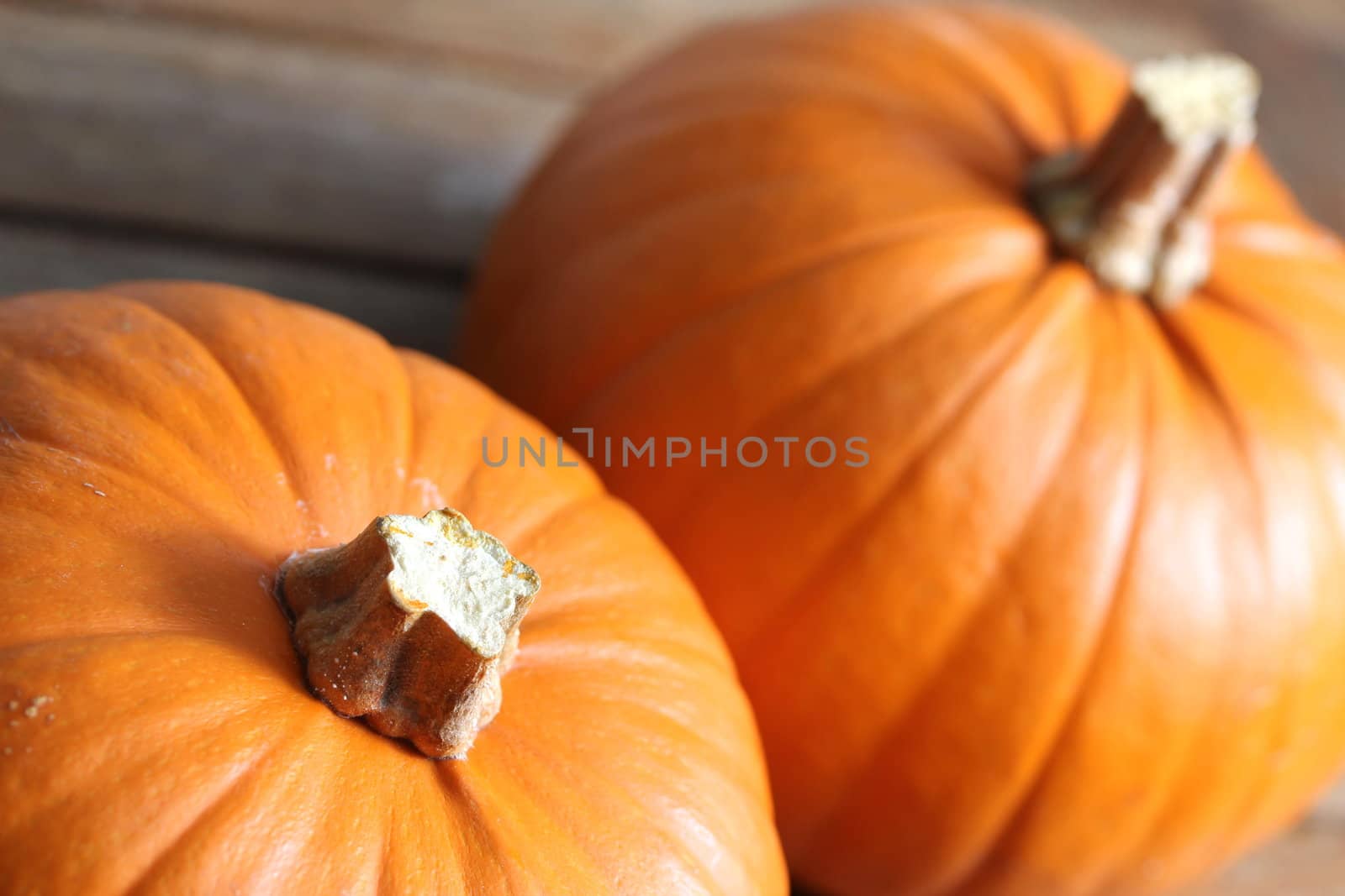 plain pumpkins