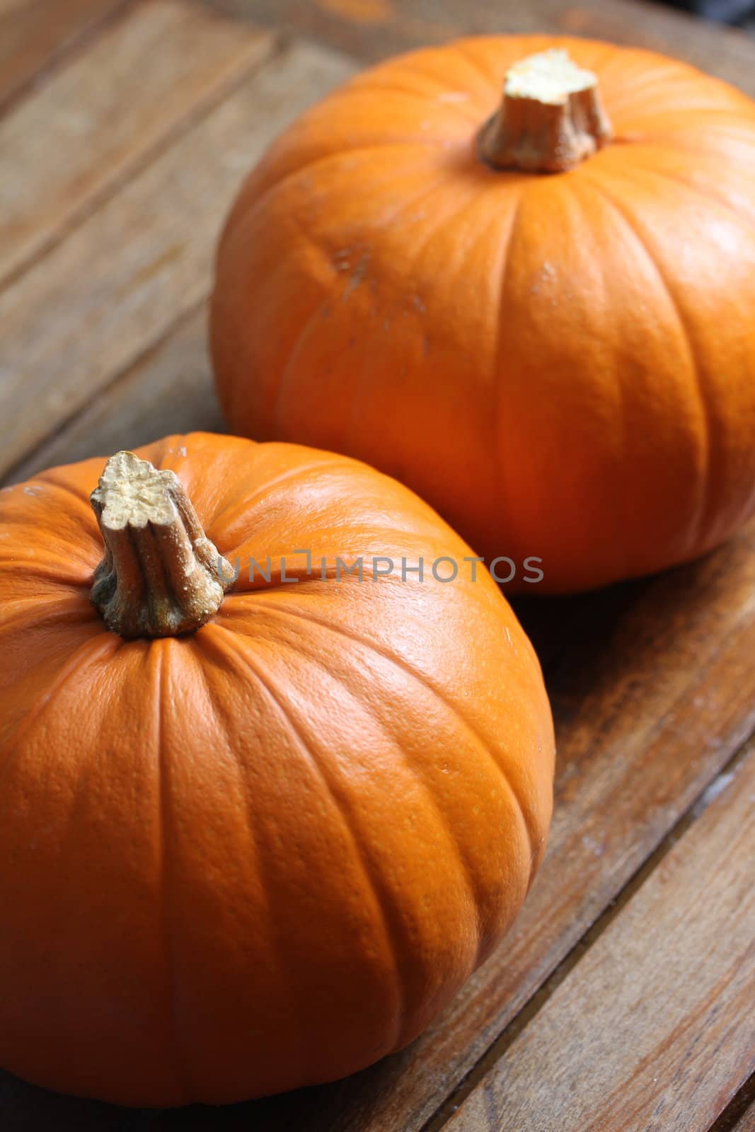 plain pumpkins