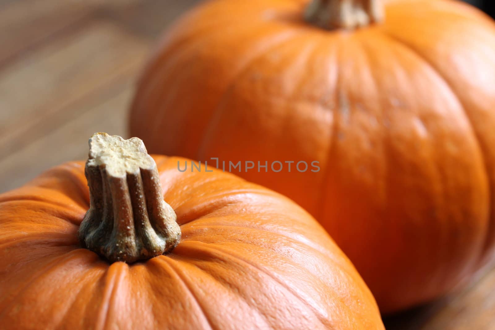 plain pumpkins