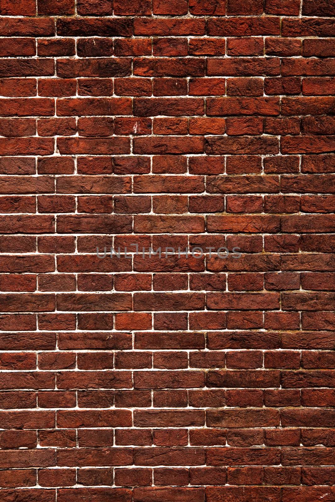 Brick wall by Iko