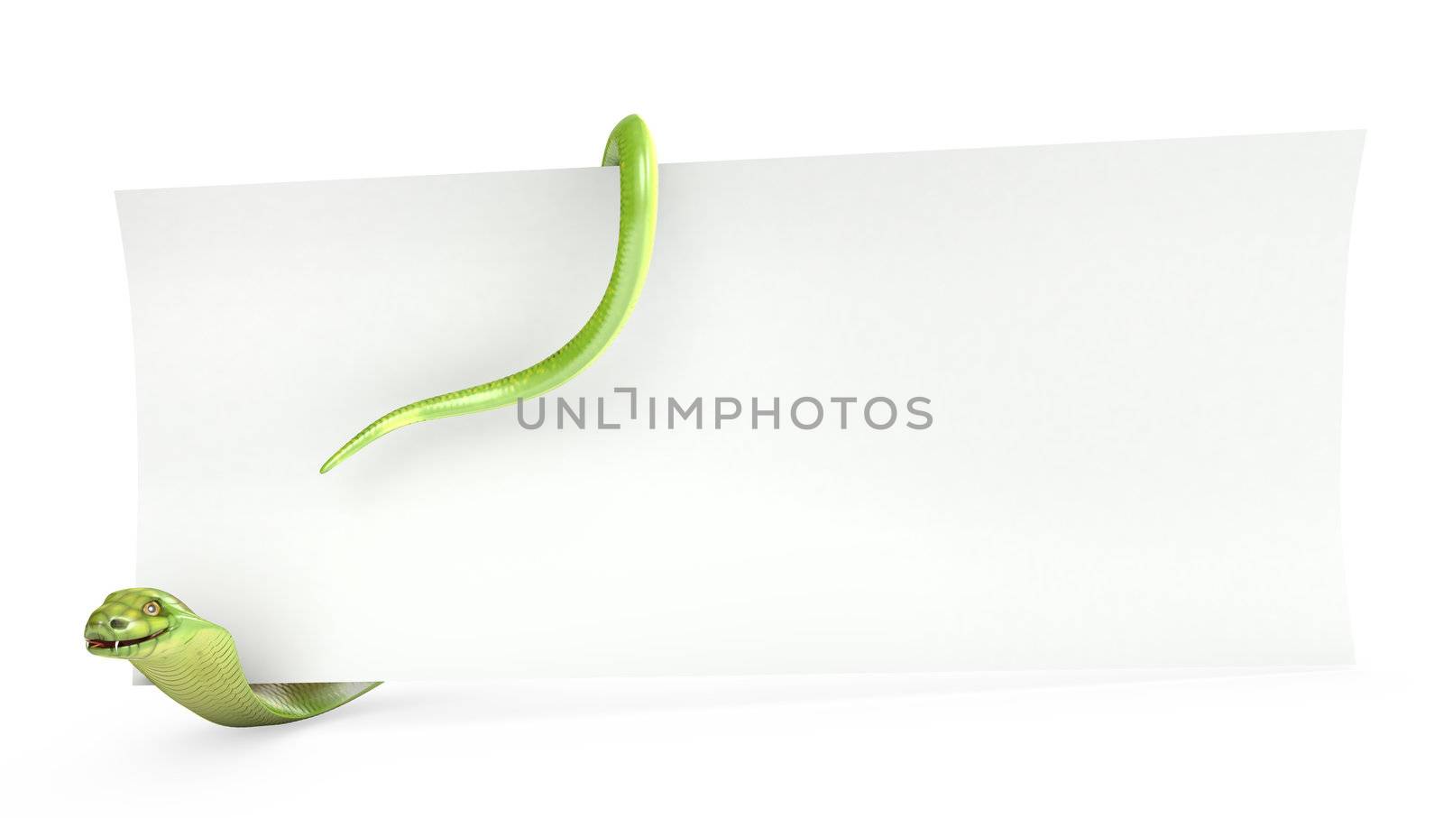 Cobra holds planks paper, isolated on white background