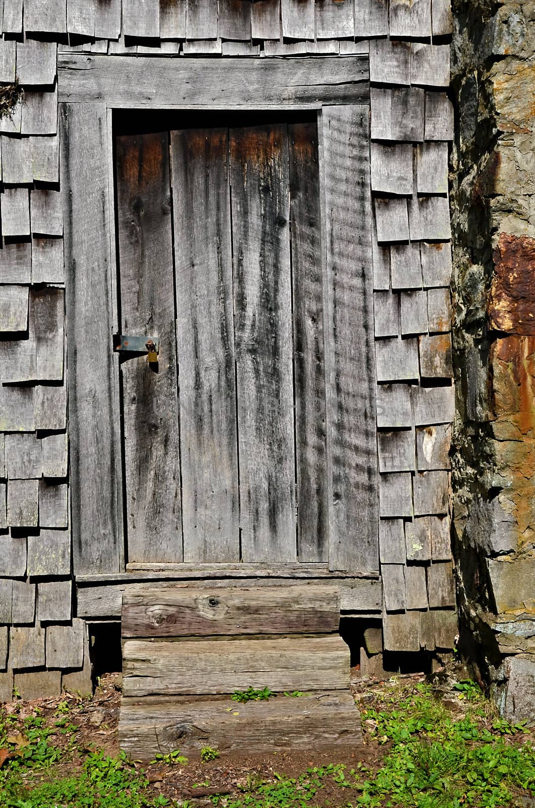 Old Door by Noonie