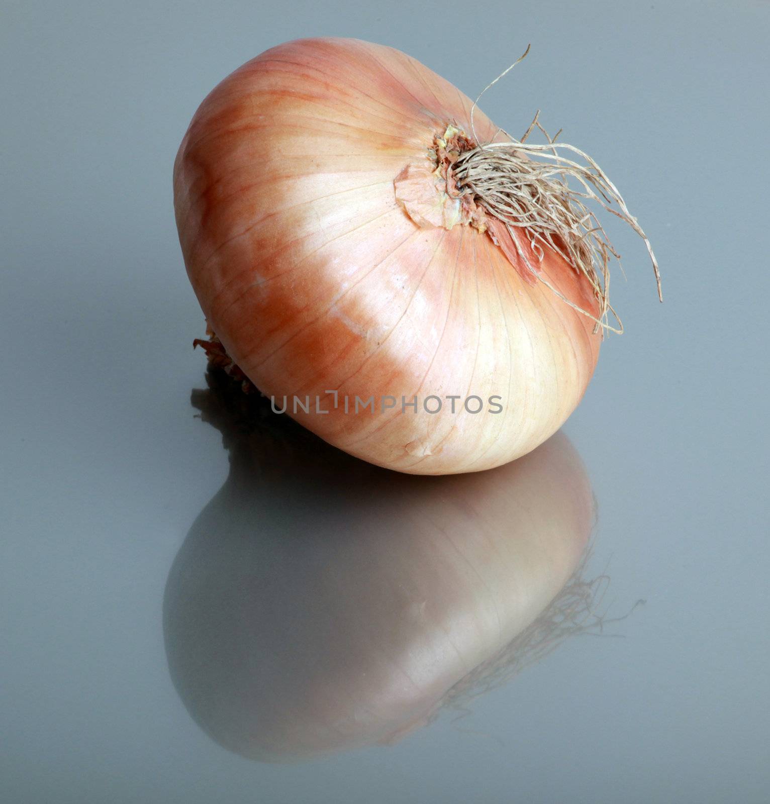 Fresh onion.