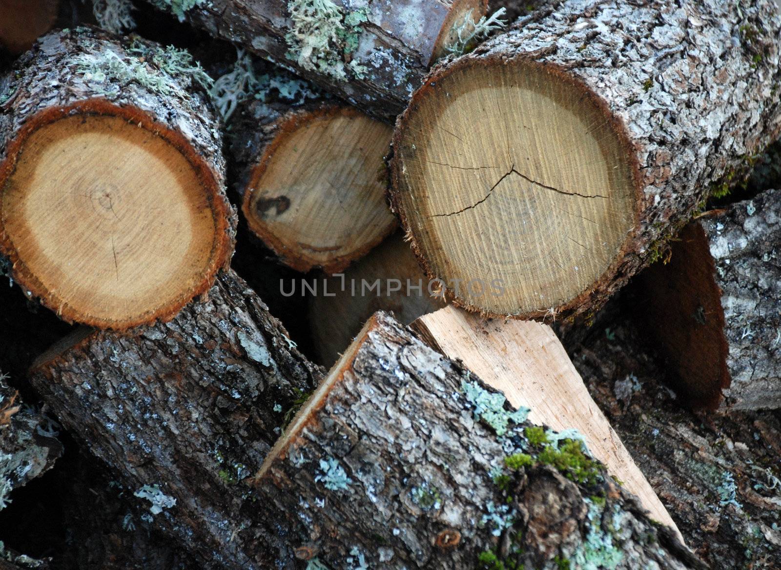 stack of wood