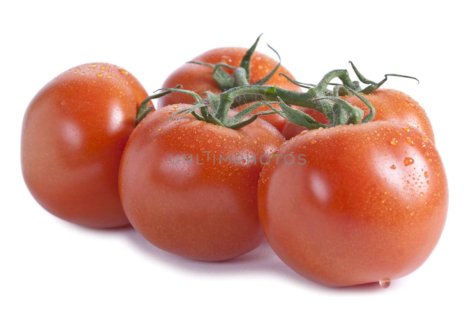 fresh tomatoes by kozzi