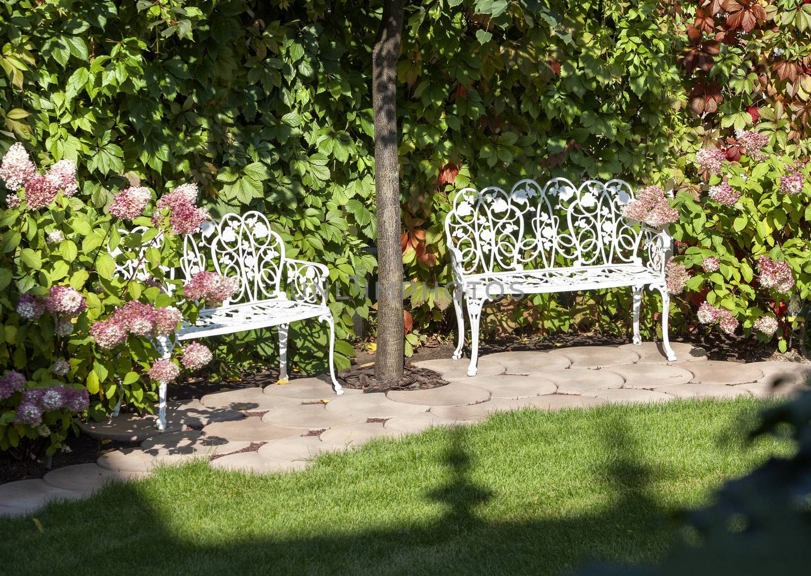 White benches in a summer garden