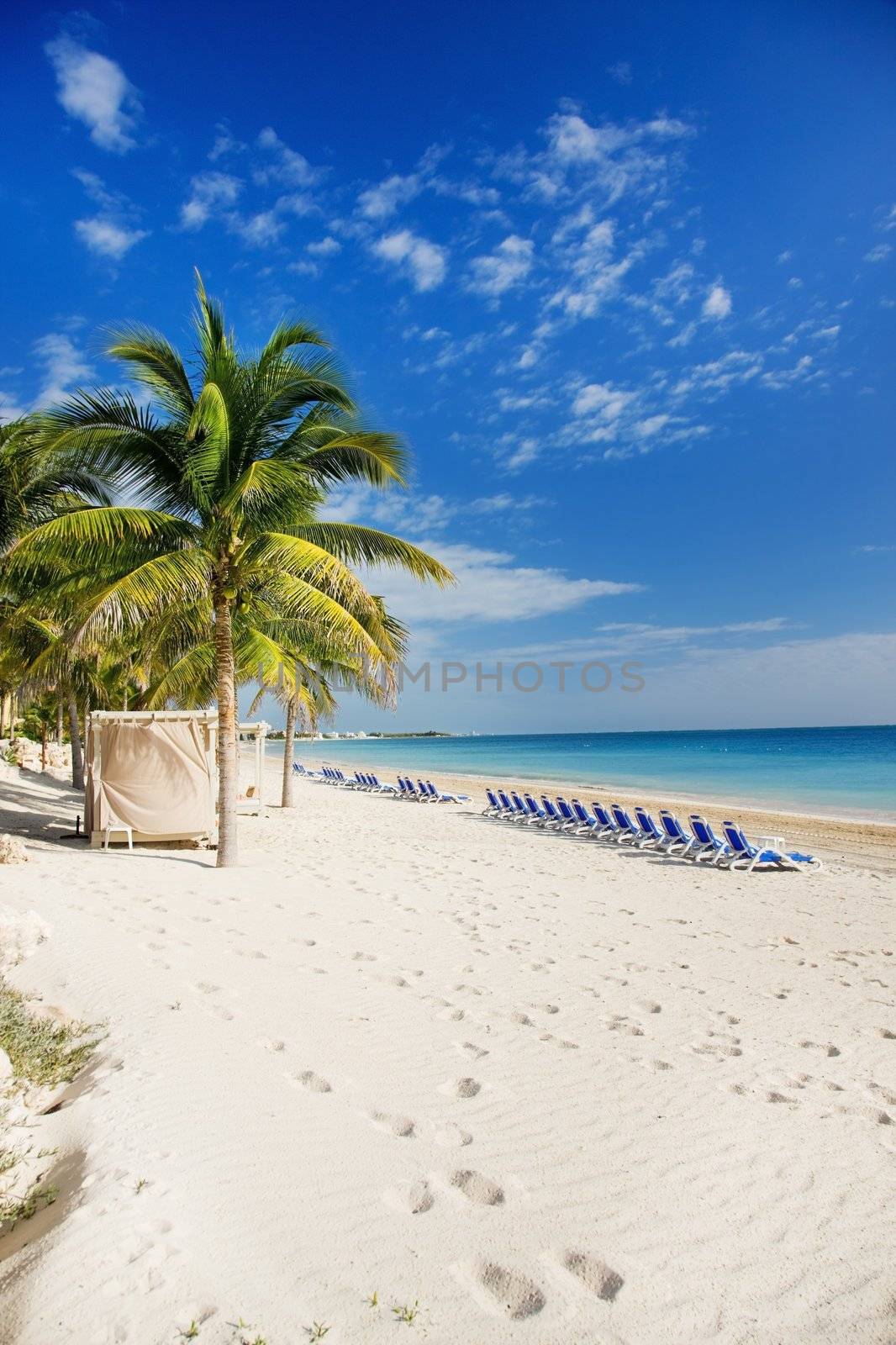 bright picture of beautiful caribbean tropical resort