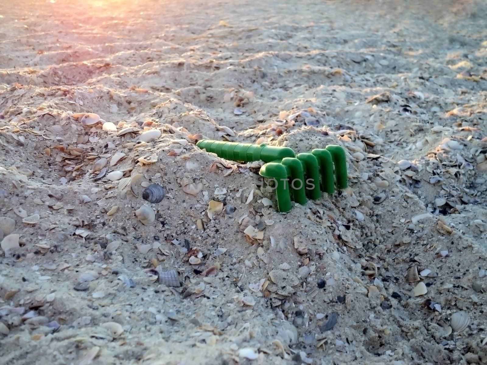             General view of the children's toys on sand and shell beach at sunset                   