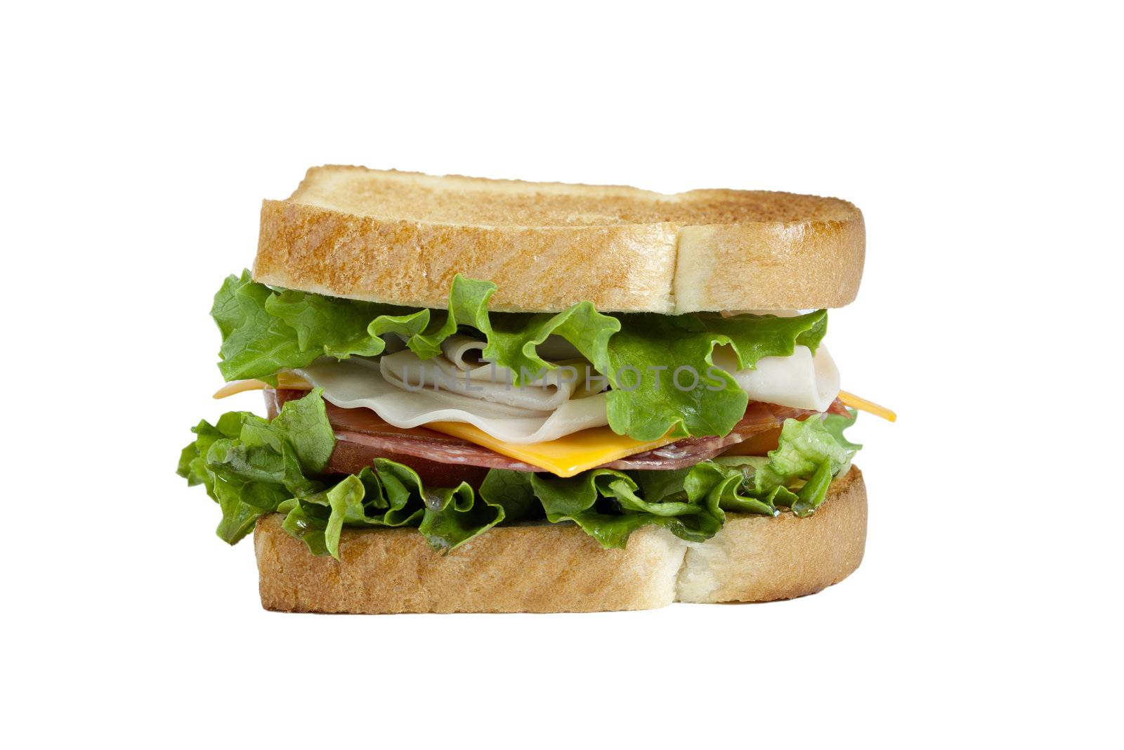 vegetable sandwich isolated on a white background